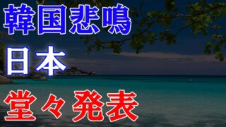 衝撃発表 日本が制裁発動 韓国に衝撃‼ 米国へ大至急SOS