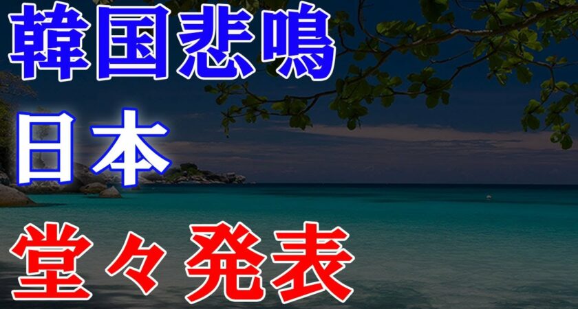 衝撃発表 日本が制裁発動 韓国に衝撃‼ 米国へ大至急SOS